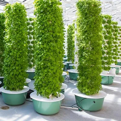 Aeroponics Towers Garden Syste - Hydroponic Tower review and price