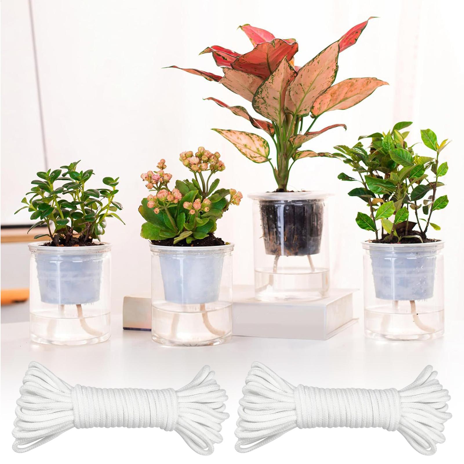 Plant Wicks For Self Watering  - Self Watering Planter review and price