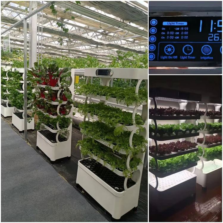 Home Use Vertical Hydroponic T - Hydroponic Tower review and price