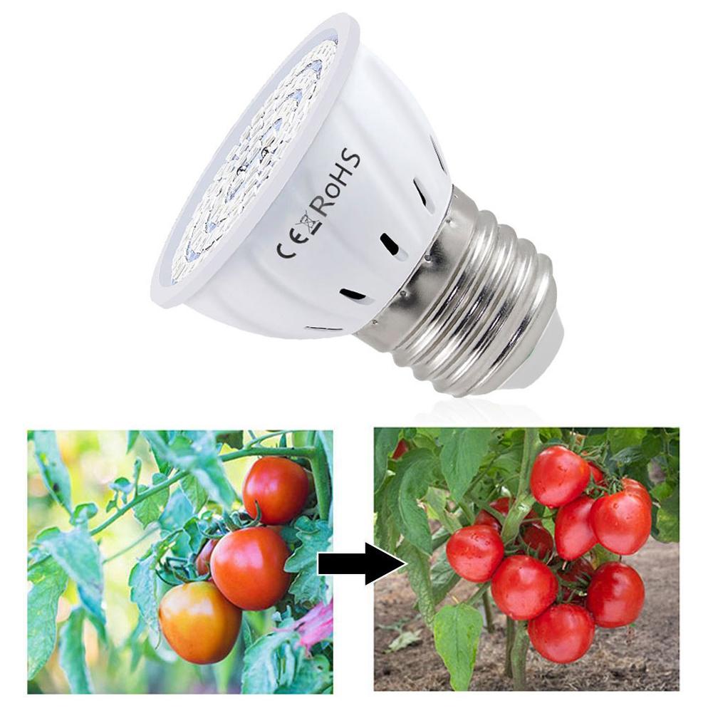 LED Grow Bulb E27 60 80LEDs Fu - Plant Grow Light Full Spectrum review and price