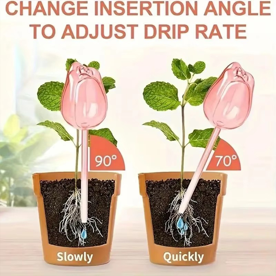 Transparent Thick PET Tulip Sh - Self Watering Planter review and price