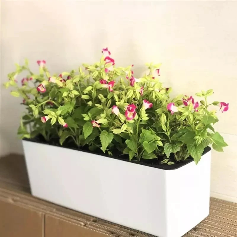 Rectangula Lazy Flower Pot Pot - Hydroponic Grow Pod review and price