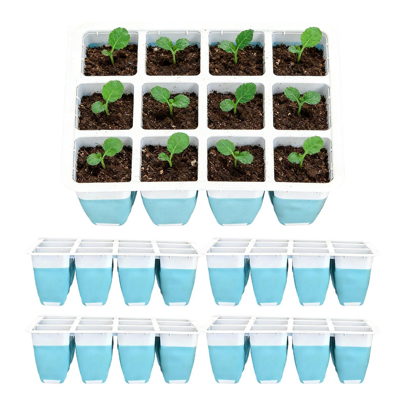 5 Pack Silicone Seed Starter T - Indoor Garden Kit review and price