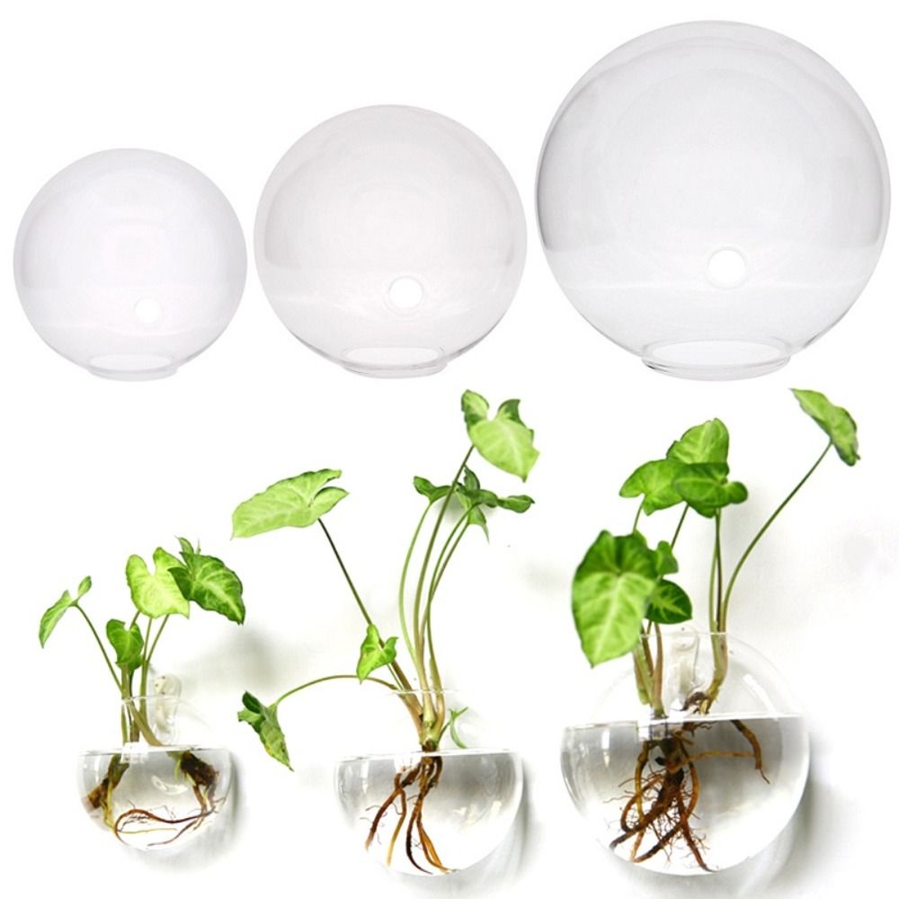 Transparent Glass Vase Wall Ha - Hydroponic Grow Pod review and price