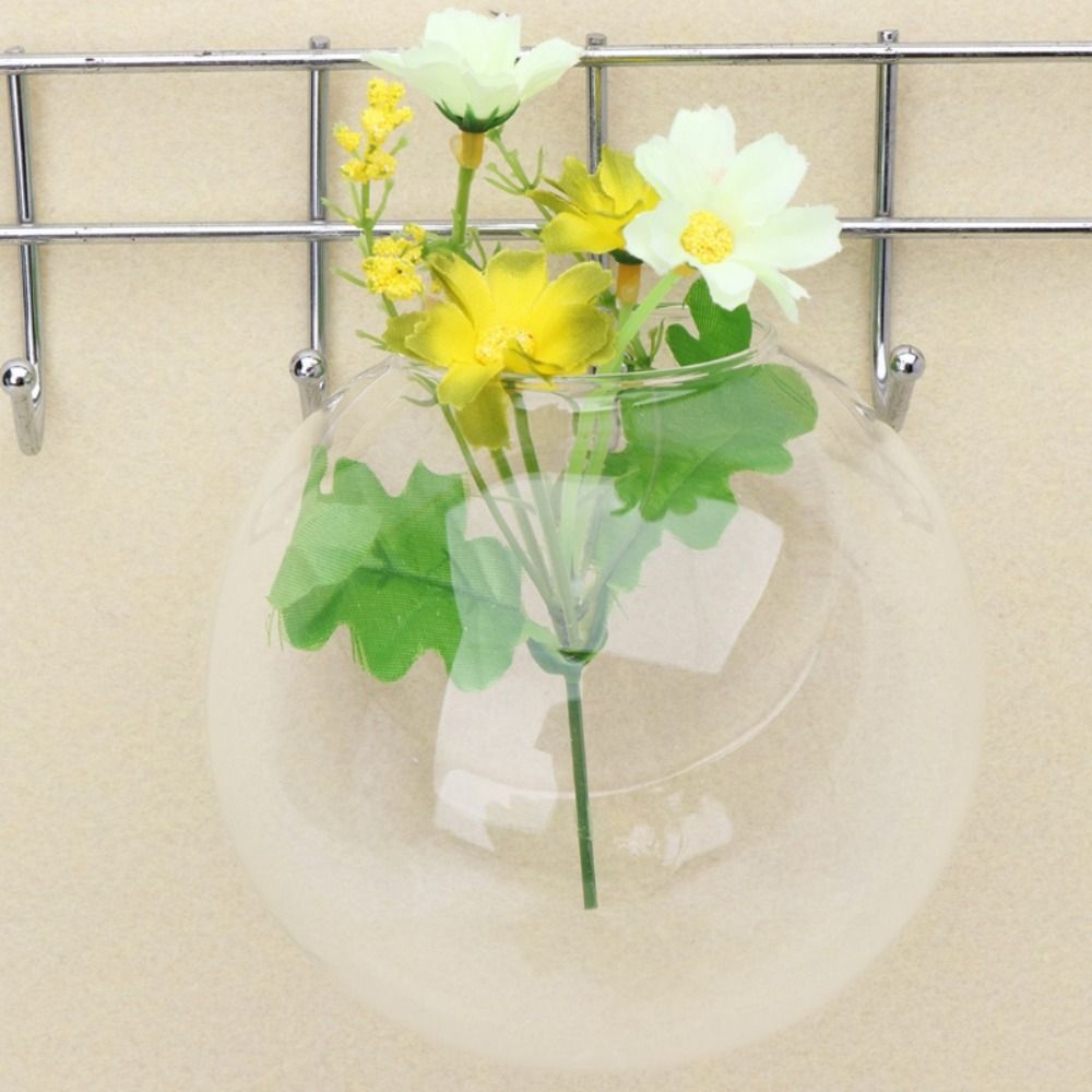 Transparent Glass Vase Wall Ha - Hydroponic Grow Pod review and price