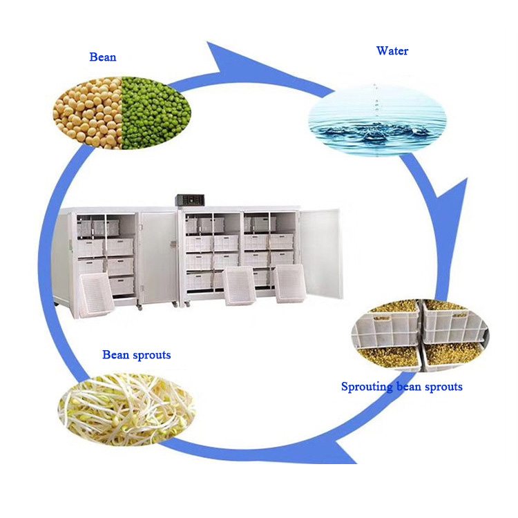 Intelligent High Multi-Sprout  - Automatic Watering review and price