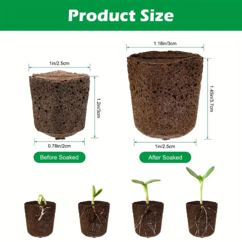 Seedling Starter Sponge Kit fo - Indoor Garden Kit review and price