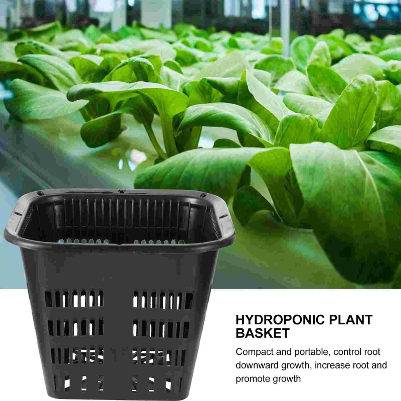 6Pcs Hydroponic Grow Baskets,  - Hydroponic Grow Pod review and price